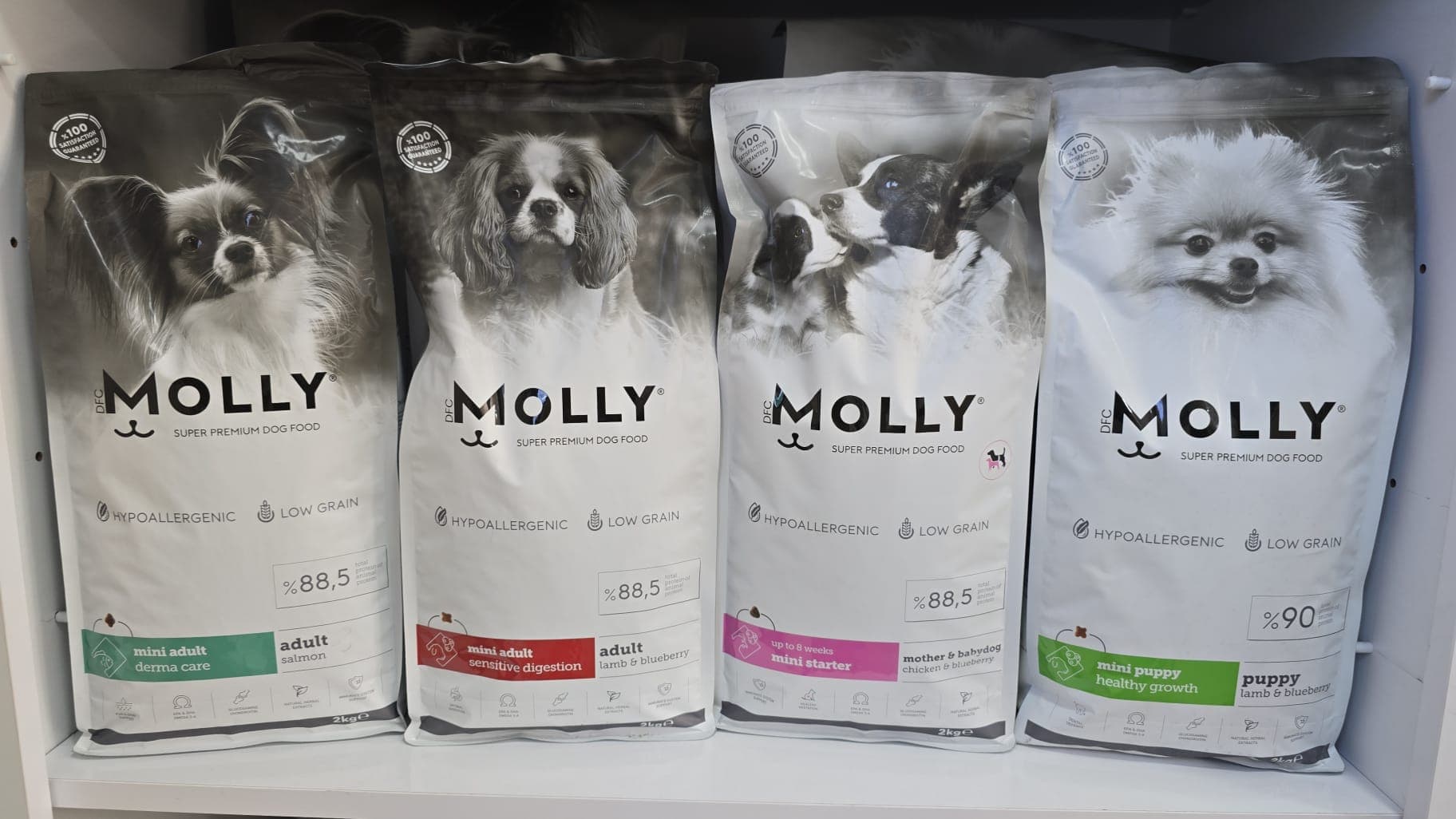 Molly Köpek Mamaları
