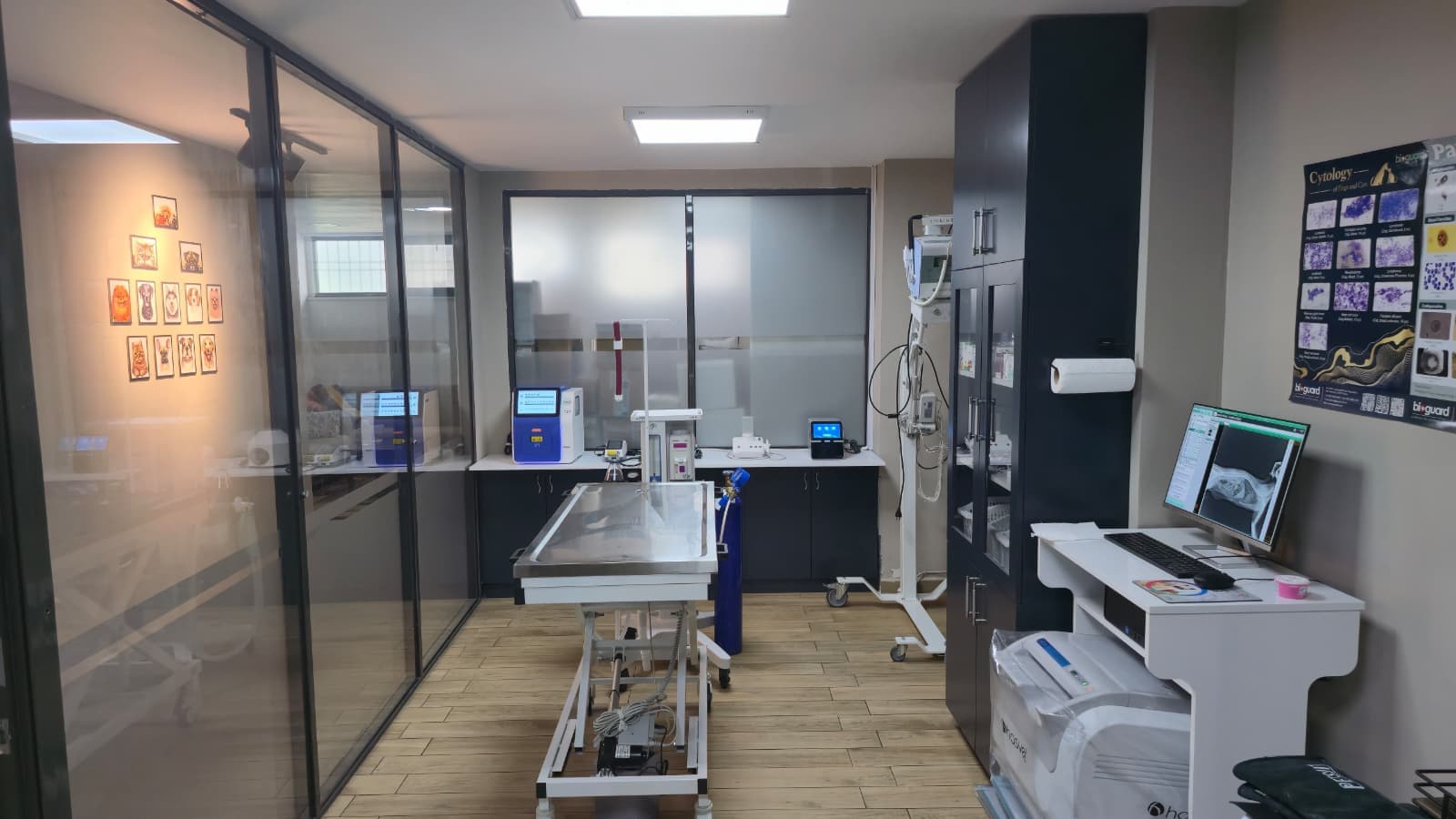 Evcil Hayvan Zehirlenmesi: Belirtiler ve İlk Yardım