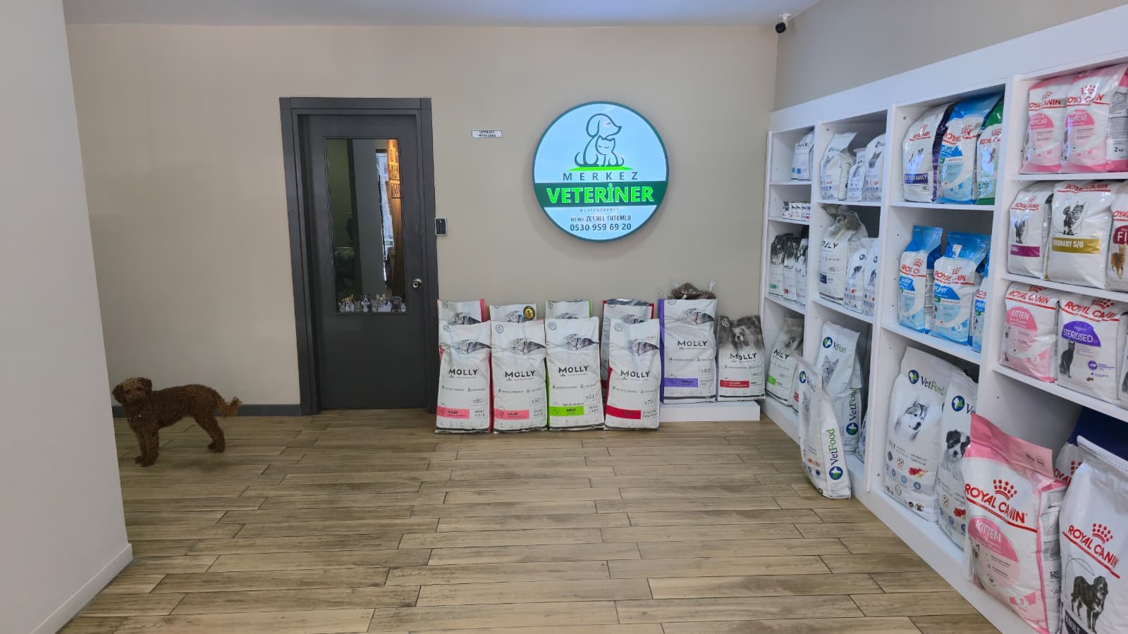Pet Shop ürün çeşitleri