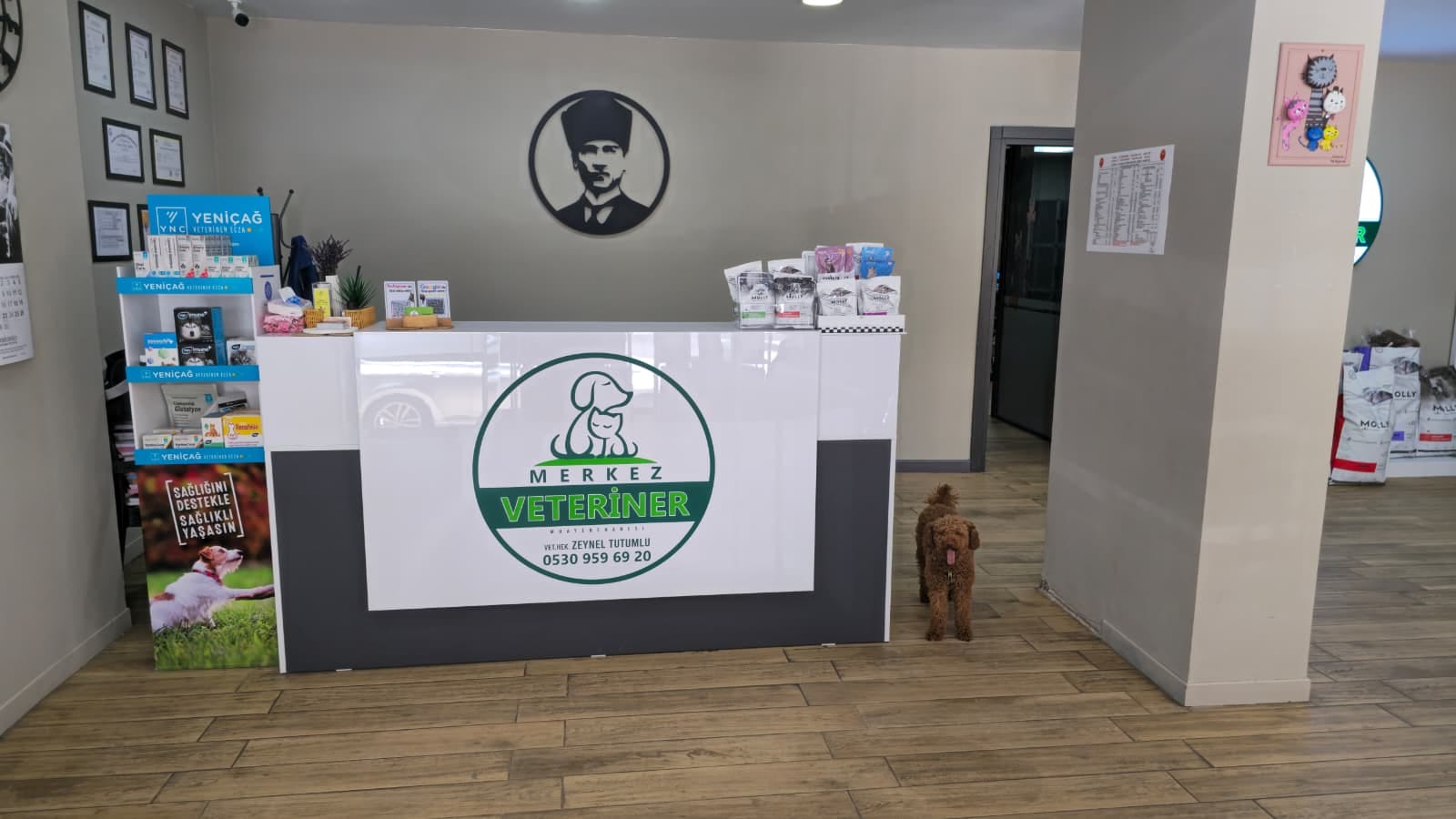 Merkez Veteriner Kliniği resepsiyon alanı